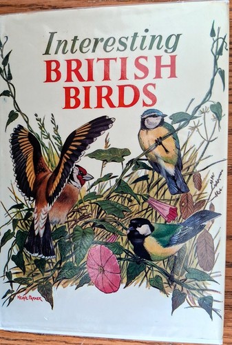 Interesting british birds - interesting,