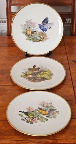 Boehm woodland birds - boehm,