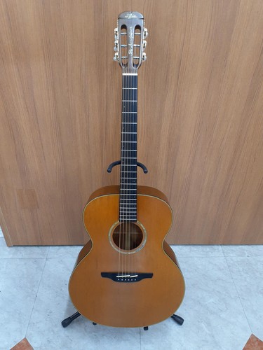 Aria acoustic guitar the - acoustic,