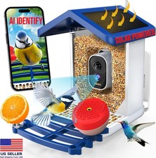 Bird Feeder with Solar Camera