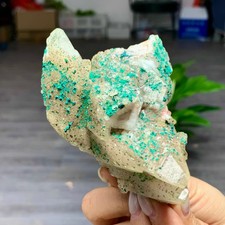 285G  Natural