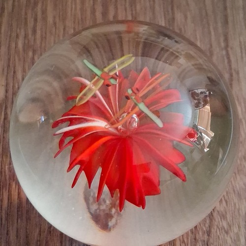 Clear art glass - clear, paperweight