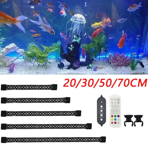 Aquarium fish tank - tank, rgb
