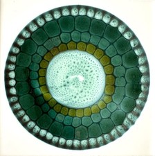 Vintage 60s Alan Wallwork