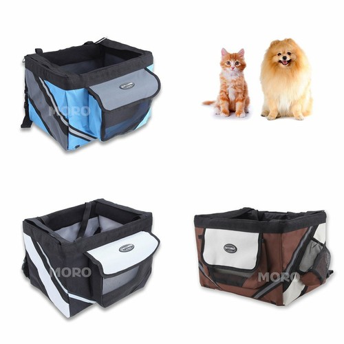 Pet cat dog puppy - puppy, bike