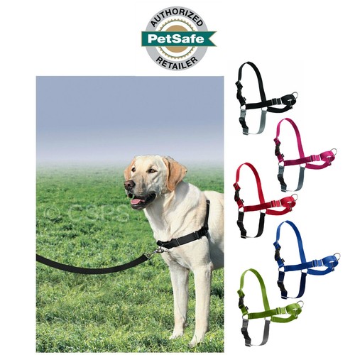 Petsafe easy walk - walk, dog