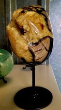 Natural Dragon Septarian Egg