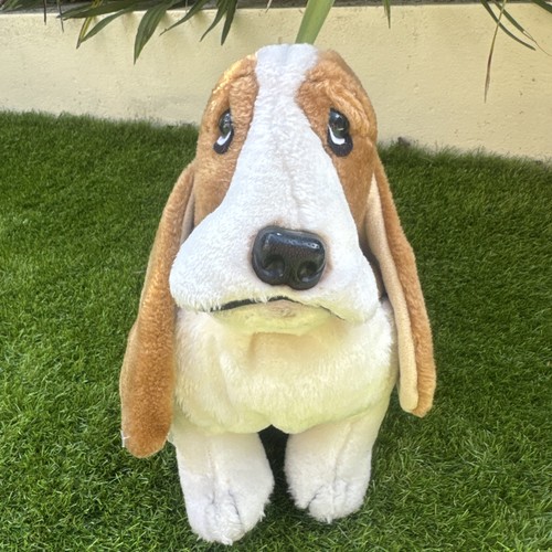 Hush puppies basset - puppies,