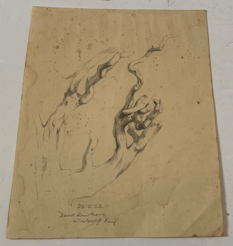 Vintage pencil drawing - vintage,