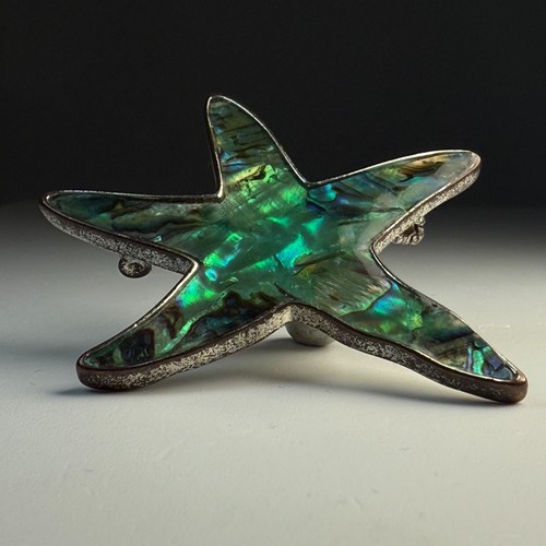 Brooch pendant abalone - pendant,