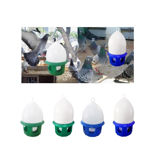 Pigeon water dispenser drinker - pigeon, dispenser,drinker