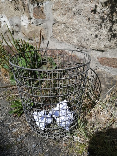 Vintage welded wire waste