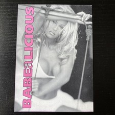 Babealicious club flyer - Old Barn, Hildenborough (Sasha, John Digweed)
