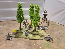 Wargaming Terrain Painted -