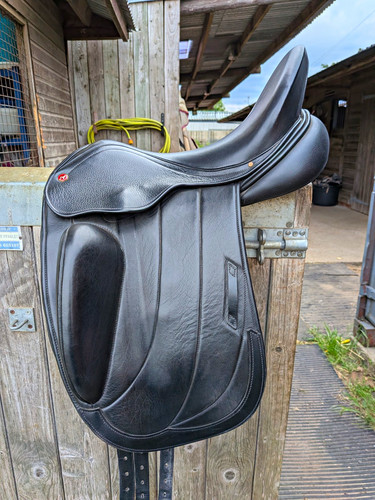 Albion fabrento - 17",