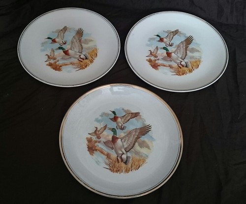 Liverpool road pottery - liverpool,
