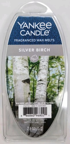 Yankee candle silver birch - silver,