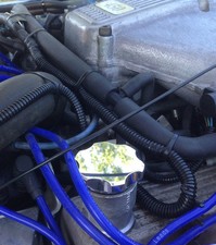 TVR Chimaera Griffith V8 Rover