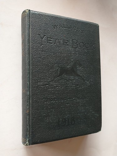 Wallace yearbook 1918 - yearbook,