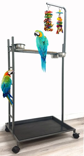 Large parrot bird wood - x-large,