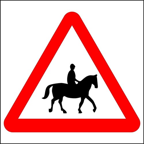 Accompanied horses ponies - horses,