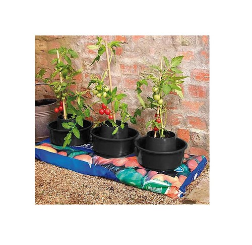 Tomato watering grow pots - watering,