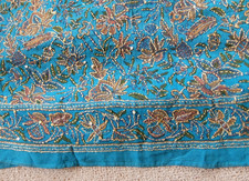 Beautiful Turquoise Sari