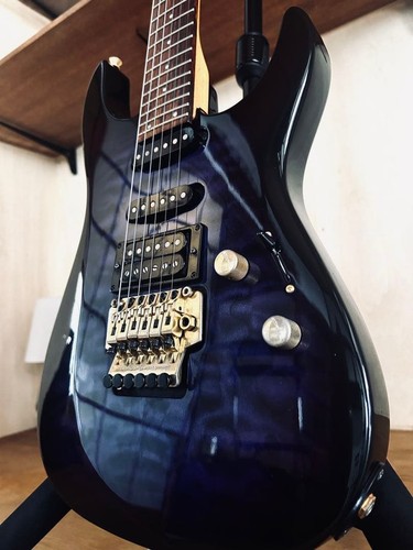 Fernandes 55s sustainer - fernandes, fr-55s