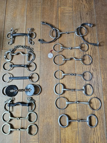 Job lot horse - of, 15
