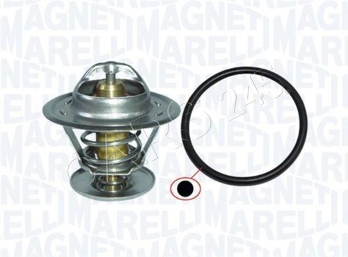 Magneti marelli coolant - magneti,