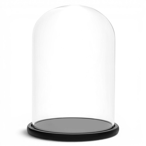 Bellevous glass cloche dome - glass,