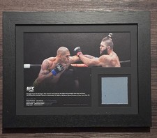 UFC 295 Alex Pereira Vs Jiri