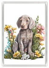 WEIMARANER PUPPY & FLOWERS