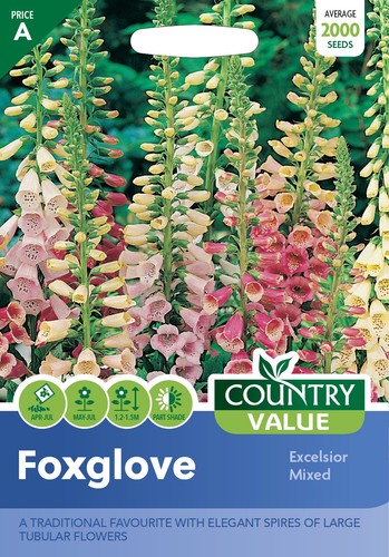 Flower seeds foxglove - flower,