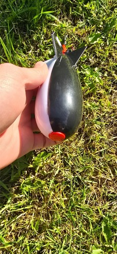 Medium spomb bait - medium,