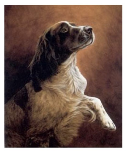 Yours faithfully dog - fine, art