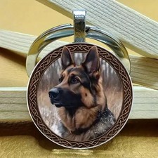German Shepherd Alsatian Dog