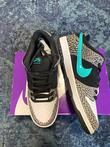 Nike dunk low - pro, men's