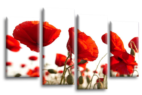 Floral wall art - wall,