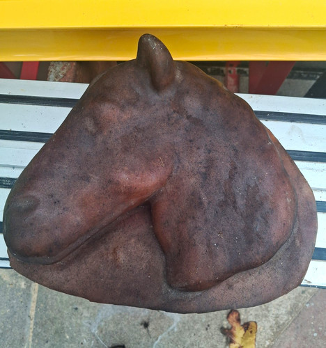 Latex mould horse head for - horse,