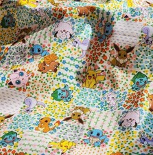 Pocket Monster Pokemon