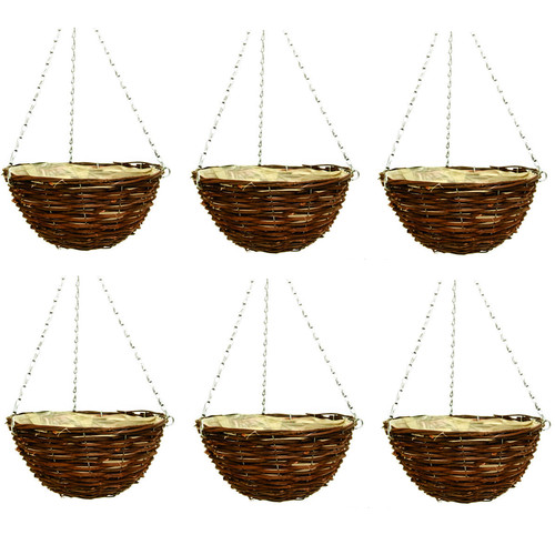 25cm inch dark brown - 6x,