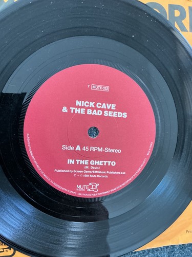 Nick cave the bad seeds - seeds,