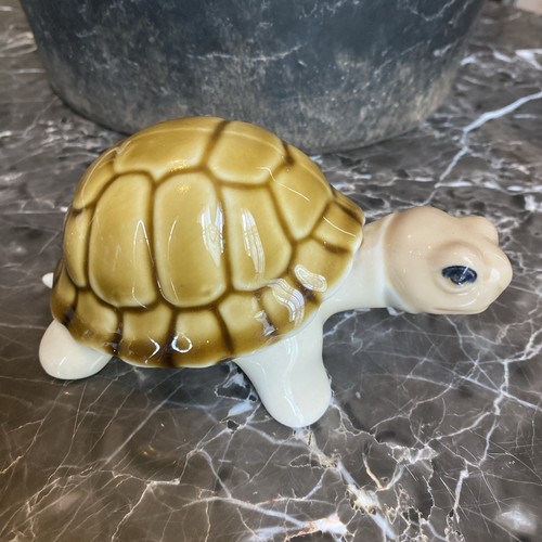Spanish porcelain tortoise - spanish,