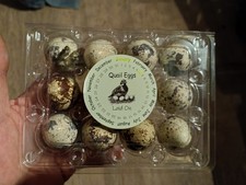 Fresh Farm Quail Eggs X12 