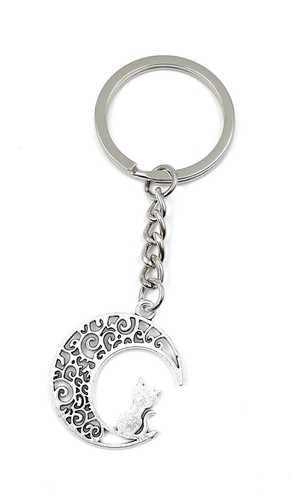 Cat moon pet keychain metal - cat,