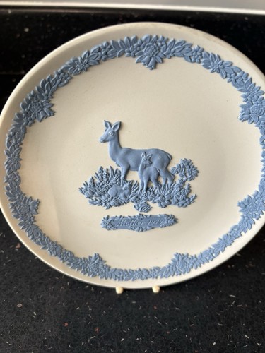 Wedgwood blue beige - wedgwood,