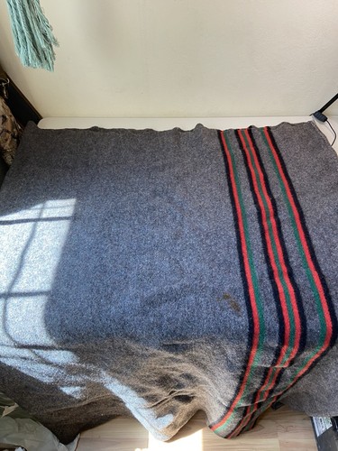 Vintage pendleton wool blanket - pendleton,