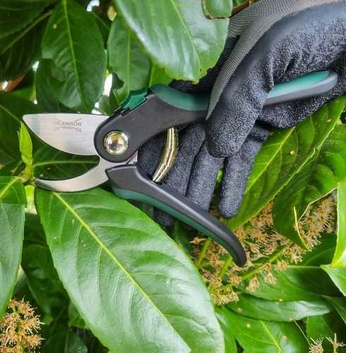 Wilkinson sword bypass pruner - wilkinson,