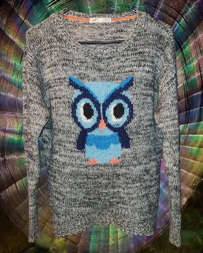 Cute owl sweater made jolt - owl,